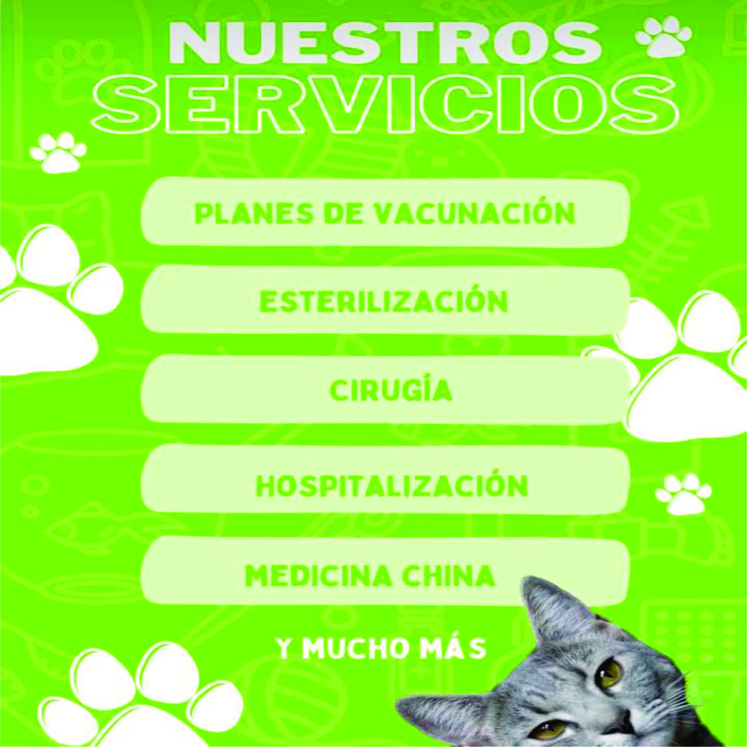 Misión 1